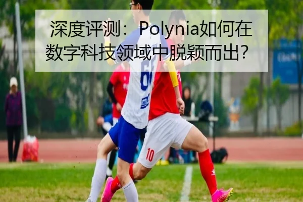 深度评测：Polynia如何在数字科技领域中脱颖而出？
